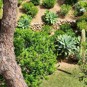  Apartamento Elena Flat A Little Paradise Right On The